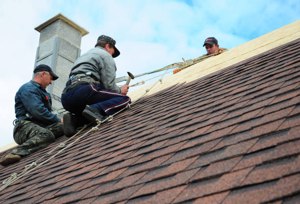 Best Roof Repair Services  in Kerrville, TX